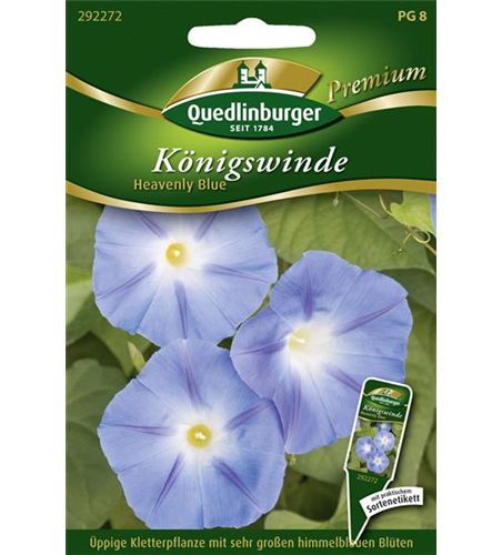 Trichterwindensamen 'Heavenly Blue'