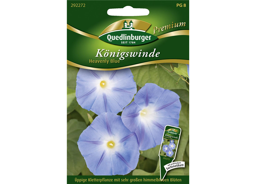 Trichterwindensamen 'Heavenly Blue'