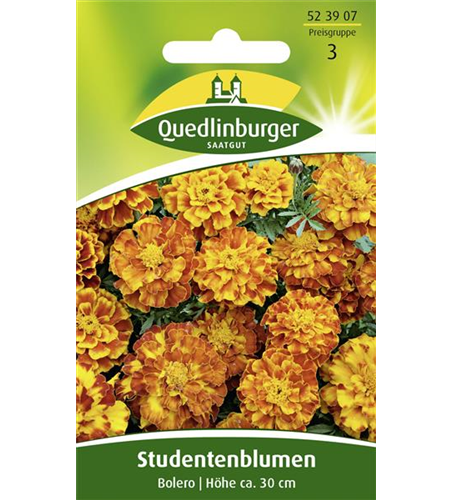 Studentenblumensamen 'Bolero'