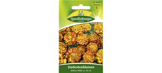 Studentenblumensamen 'Bolero'