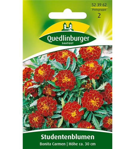 Studentenblumensamen 'Carmen'