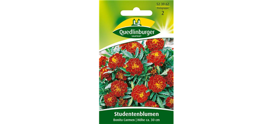 Studentenblumensamen 'Carmen'