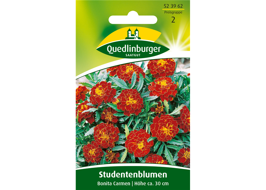 Studentenblumensamen 'Carmen'