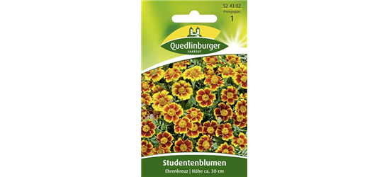 Studentenblumensamen 'Ehrenkreuz'