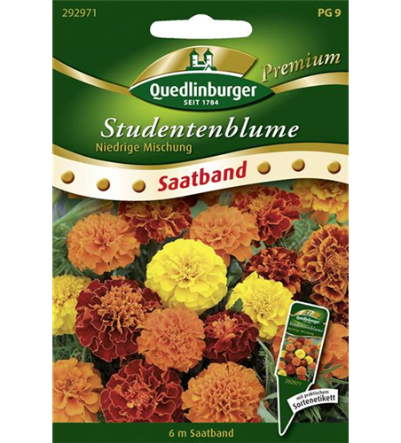 Studentenblumensamen 'Niedrige Mischung'