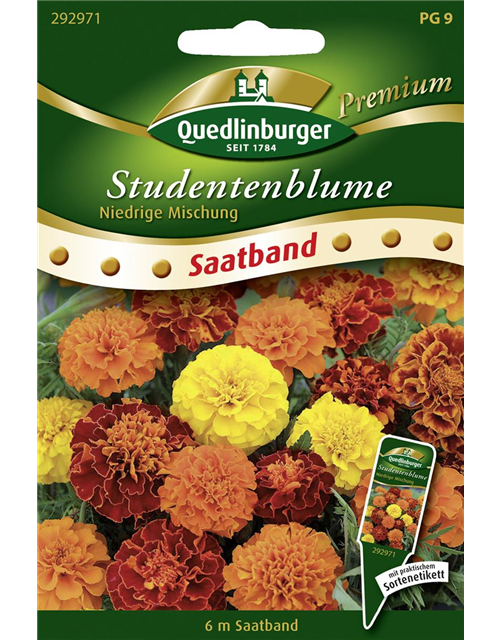 Studentenblumensamen 'Niedrige Mischung'