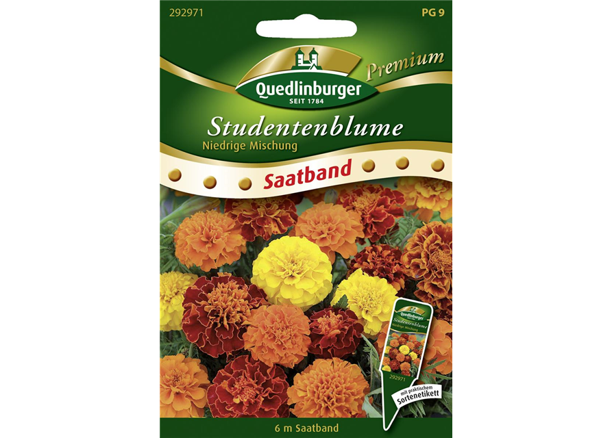 Studentenblumensamen 'Niedrige Mischung'