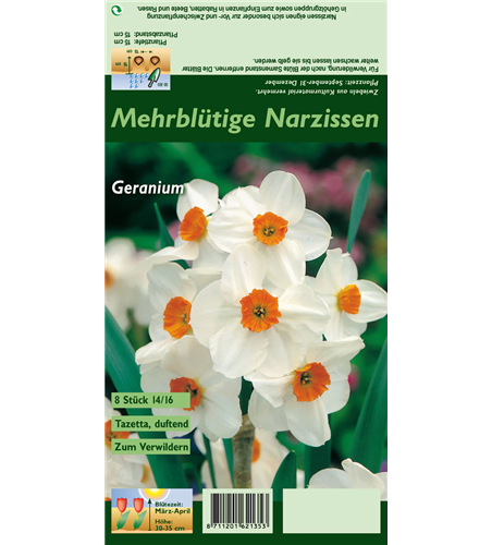 Tazetten-Narzisse 'Geranium'