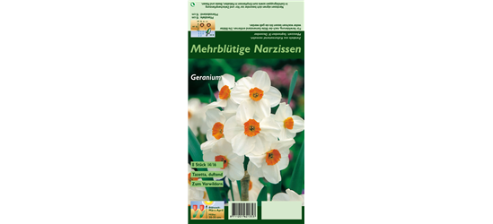 Tazetten-Narzisse 'Geranium'