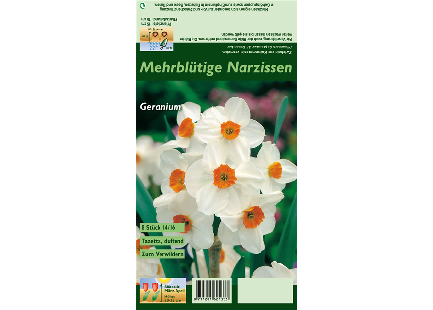 Tazetten-Narzisse 'Geranium'