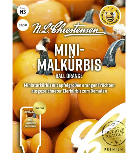 Zierkürbissamen 'Ball Orange'