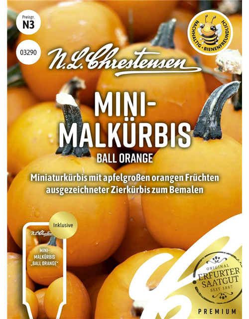 Zierkürbissamen 'Ball Orange'