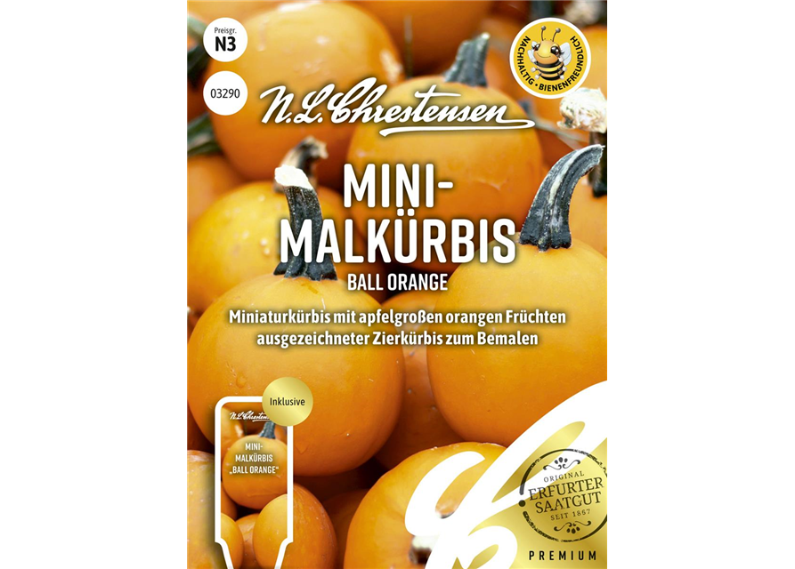 Zierkürbissamen 'Ball Orange'