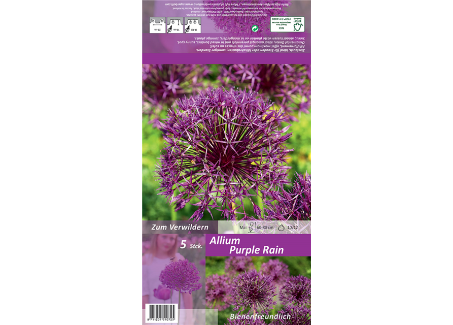 Zierlauch 'Purple Rain'