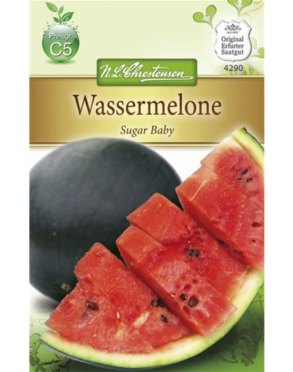 Wassermelonensamen 'Sugar Baby'