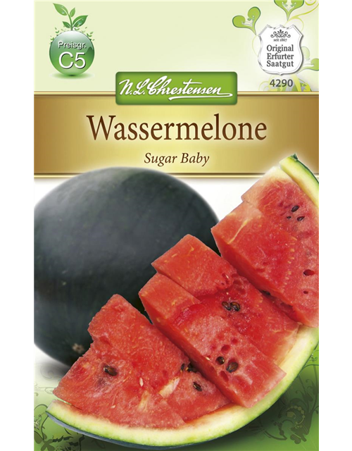 Wassermelonensamen 'Sugar Baby'