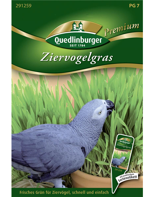 Ziervogelgrassamen