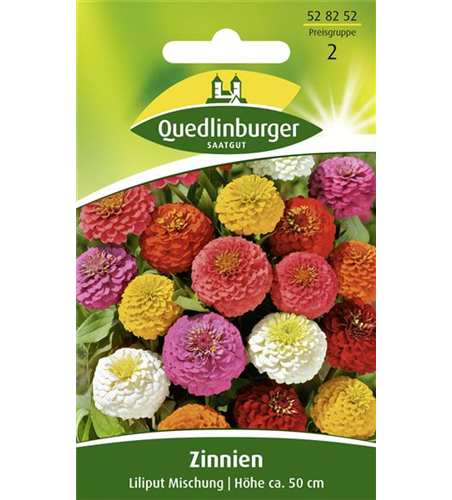 Zinniensamen 'Liliput'