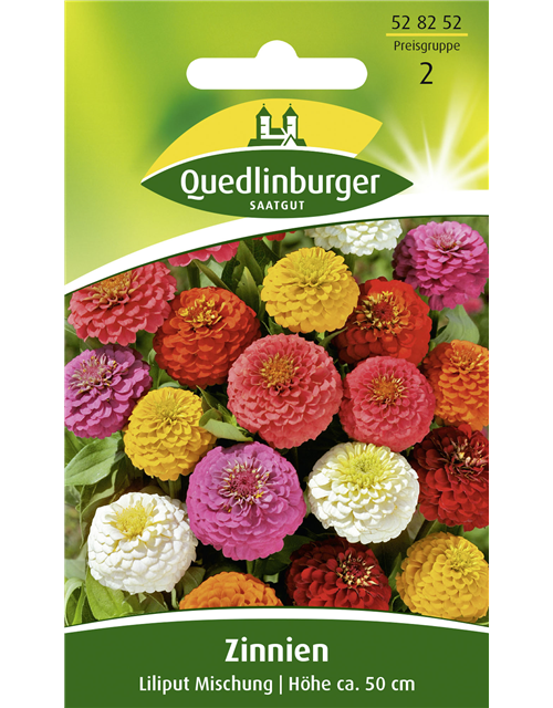 Zinniensamen 'Liliput'