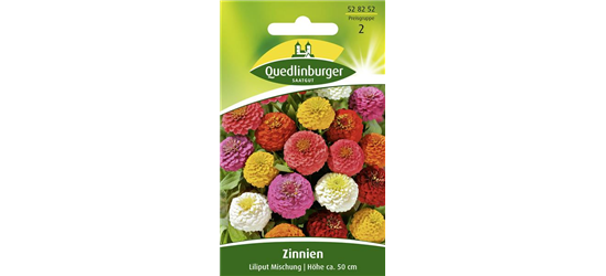 Zinniensamen 'Liliput'