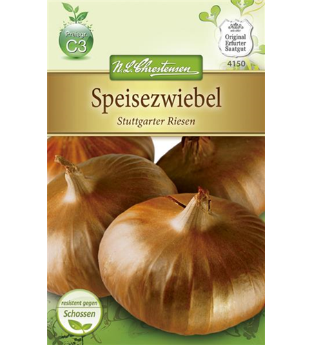 Zwiebelsamen 'Stuttgarter Riesen'