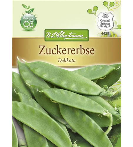 Zuckererbsensamen 'Delikata'