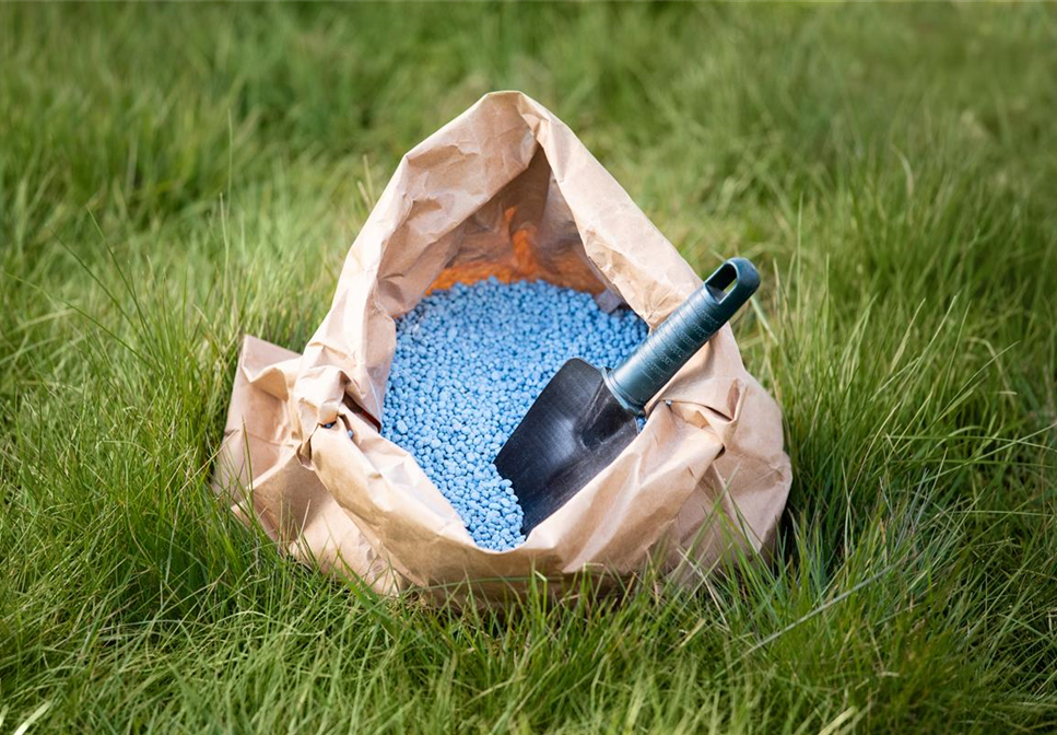 Richtig düngen für Pflanzen in Haus und Garten