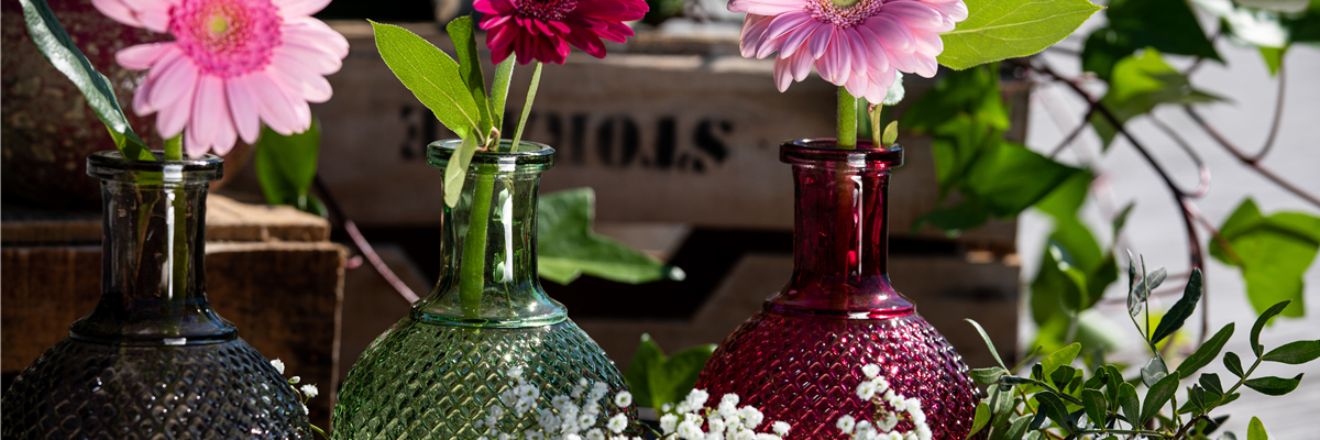 Gerberas in Vasen