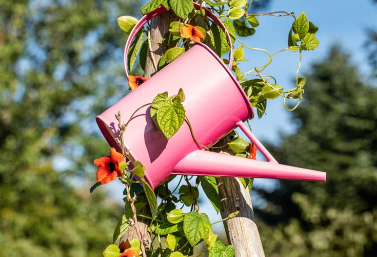 Drucksprüher kaufen und Garten oder Balkon gestalten