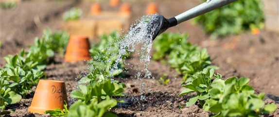 Bodenverbesserung – den Garten fit fürs neue Jahr machen