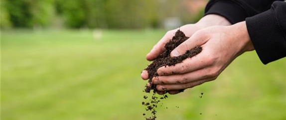 Die richtige Bodenpflege – Grundlage für einen schönen Garten