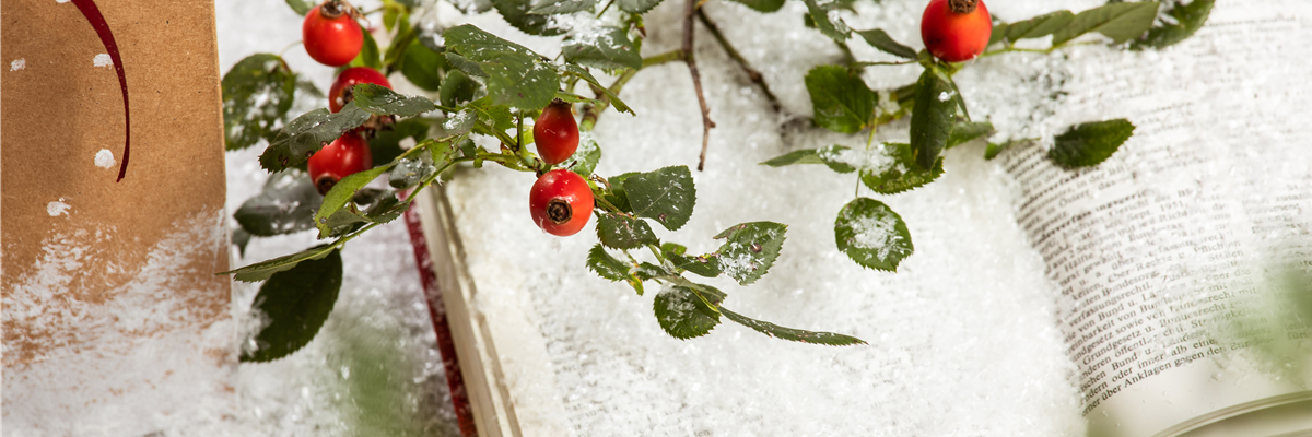 Weihnachtsdekoration