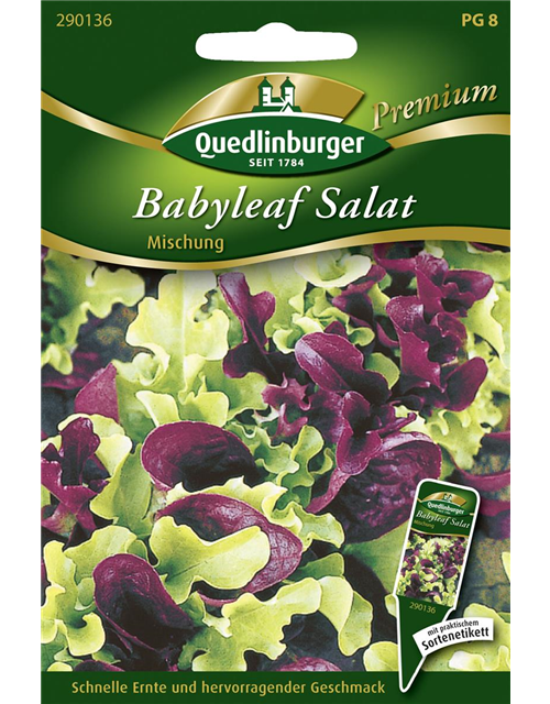 Babyleaf-Salat-Samen