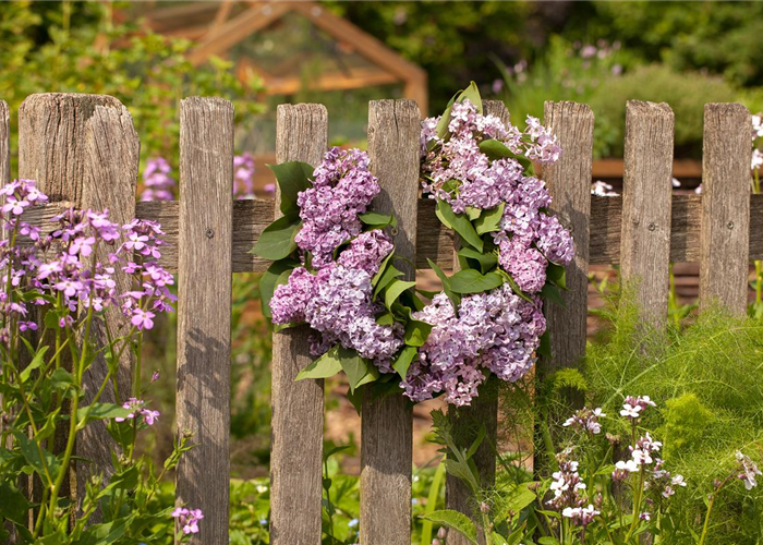 Gartenzäune und Sichtschutz