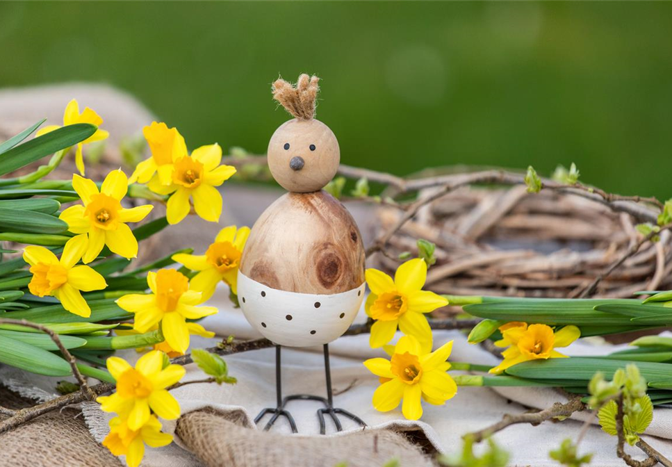 Die bunte Blütenpracht der frühblühenden Pflanzen zu Ostern 