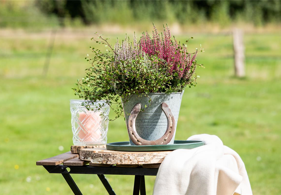 Zeitlose Schönheiten - Altbewährte Gartengestaltung mit Heide