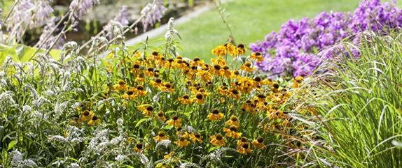 Jetzt ist es wieder soweit: Die Gartengestaltung mit Stauden