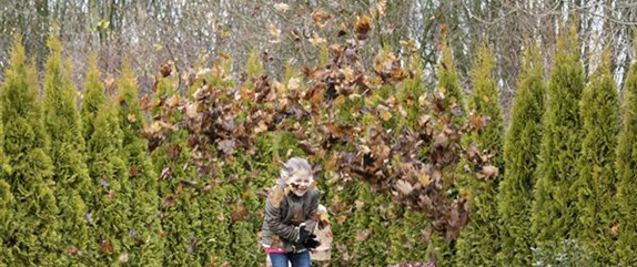 Ein Spielparadies für Kinder im eigenen Garten