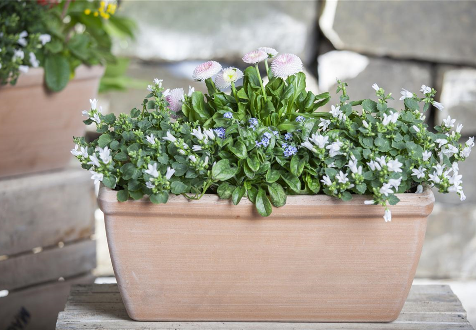 Wie jeder Balkon im Frühling zum dekorativen Blickfang wird