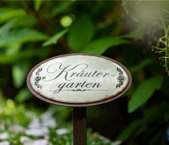 Ernte ohne Garten - Im duftenden Kräutergarten auf dem Balkon