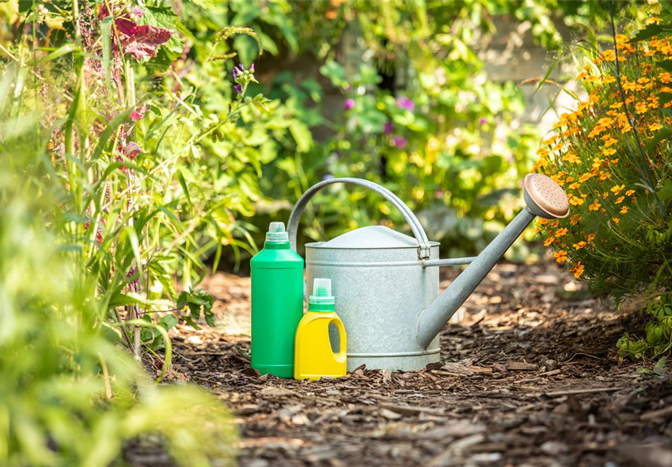 Pflanzen düngen für reiche Ernte und Blütenpracht