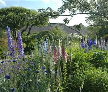 Jetzt ist es wieder soweit: Die Gartengestaltung mit Stauden