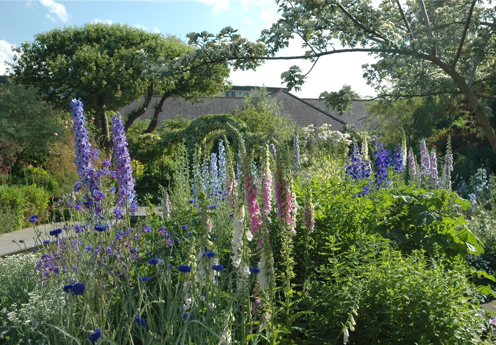 Jetzt ist es wieder soweit: Die Gartengestaltung mit Stauden