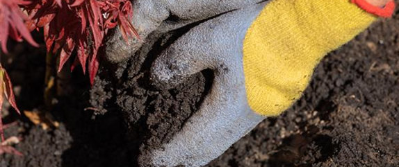 Die richtige Bodenpflege – Grundlage für einen schönen Garten