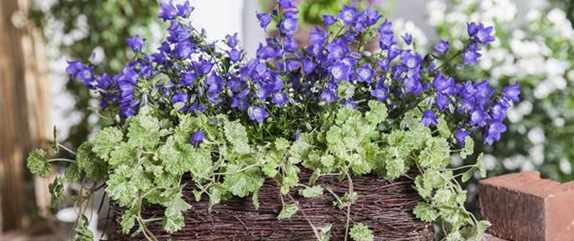 Gartengestaltung mit Pflanzgefäßen in verschiedenen Gärten