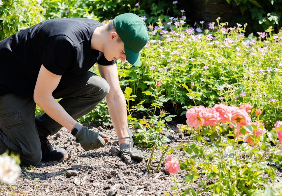 Die Grundausstattung fürs Gärtnern für Garten-Neulinge