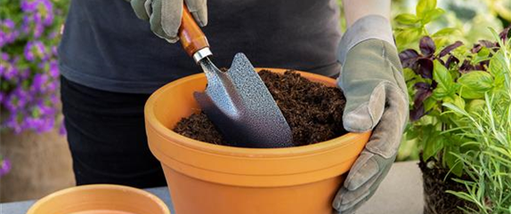 Die Grundausstattung fürs Gärtnern für Garten-Neulinge