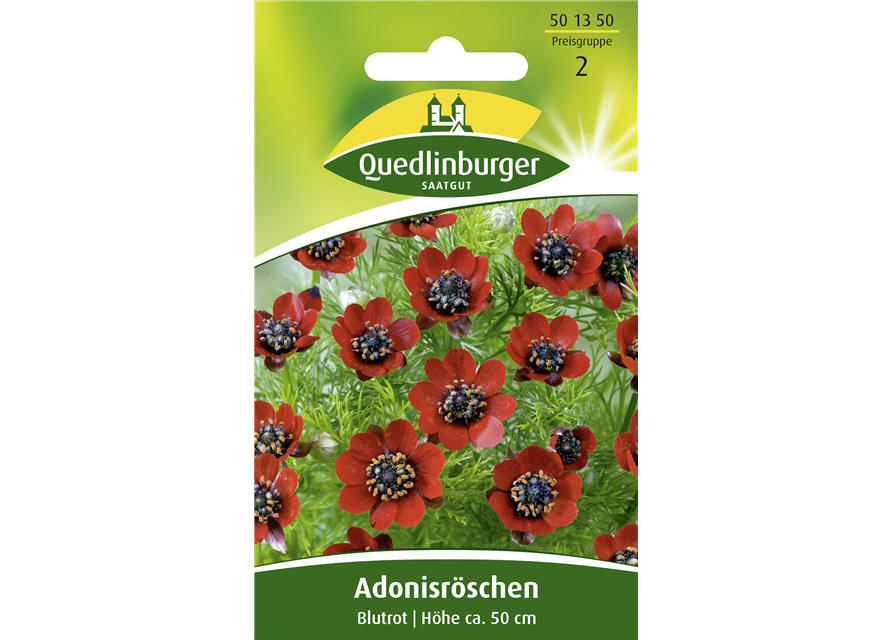 Adonisröschensamen 'Blutrot'