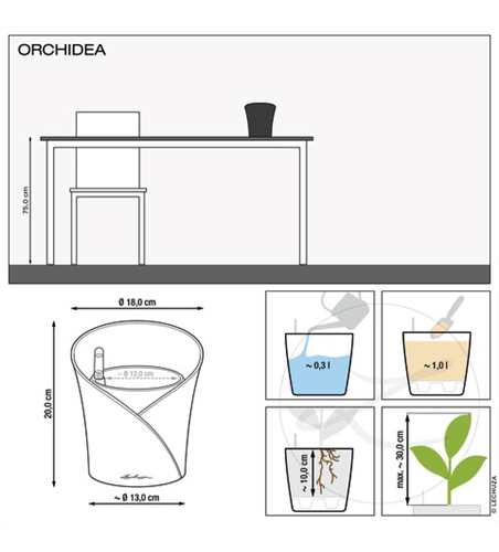 LECHUZA ORCHIDEA Color