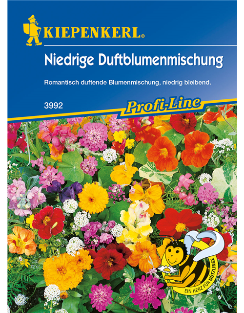 Niedrige Duftblumen